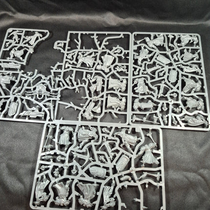 Oop Stormcast sacrosact models