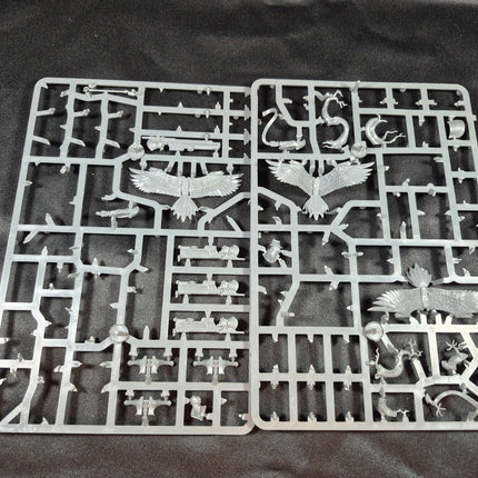 Stormcast Aetherwings