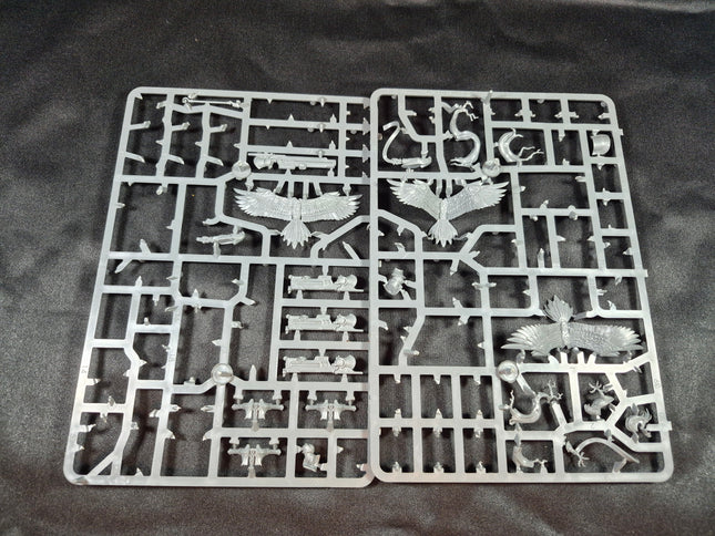 Stormcast Aetherwings