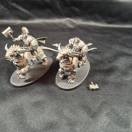 Stormcast Dracothian Gaurd